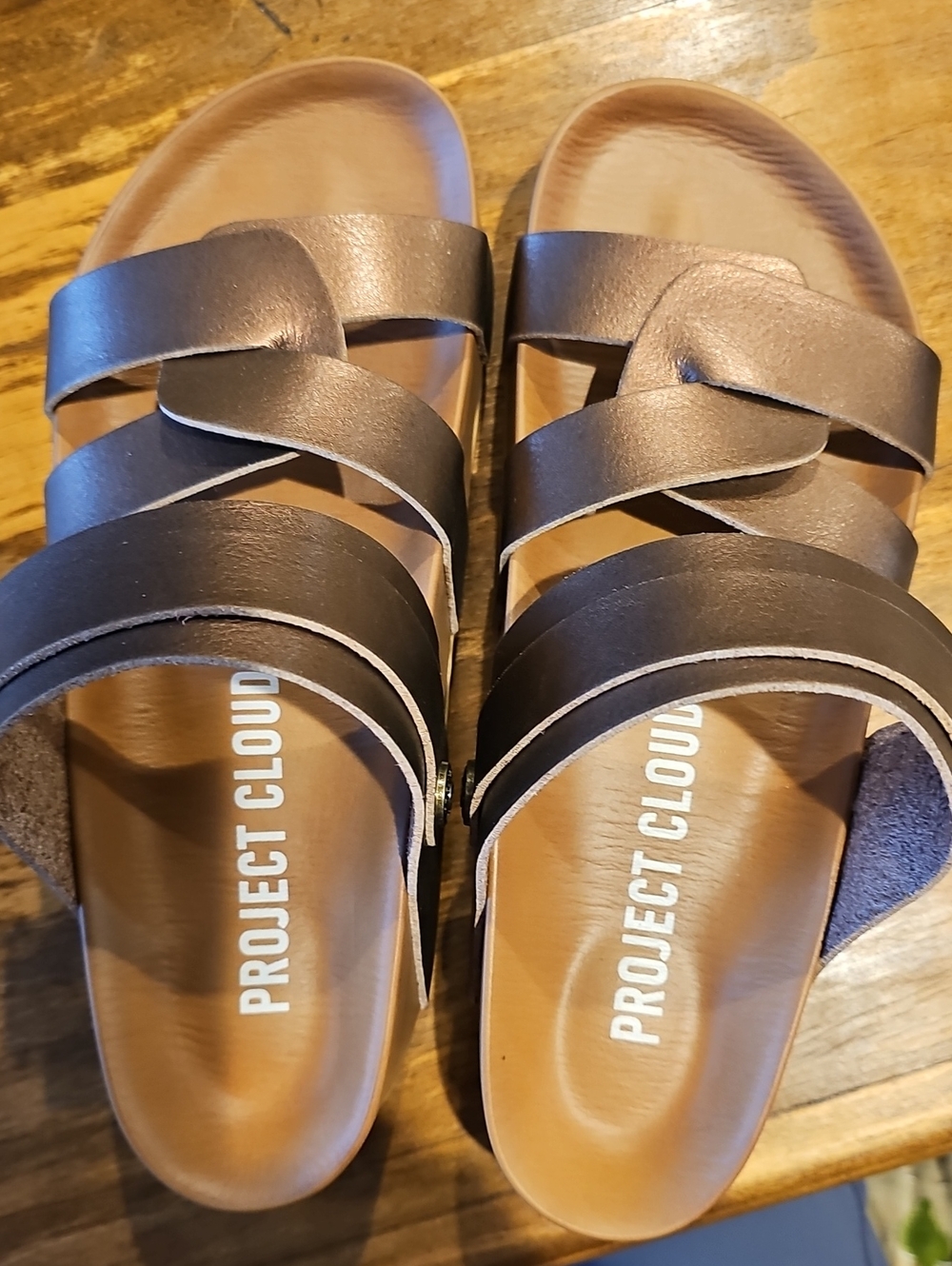 New! Project Cloud Bronze Color Strappy Slide Wedge Sandals (Size 8m)